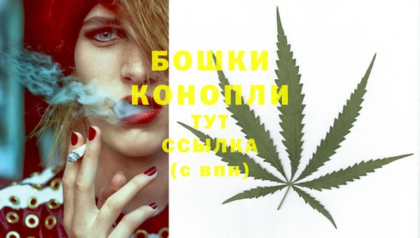 эйфоретик Беломорск