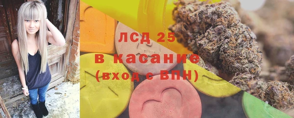эйфоретик Беломорск