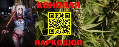 молекула духа Вязьма