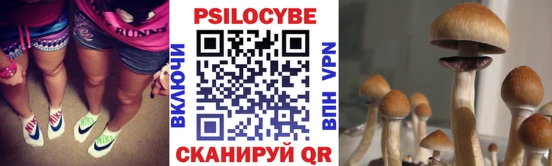 Псилоцибиновые грибы мицелий  Вязьма 