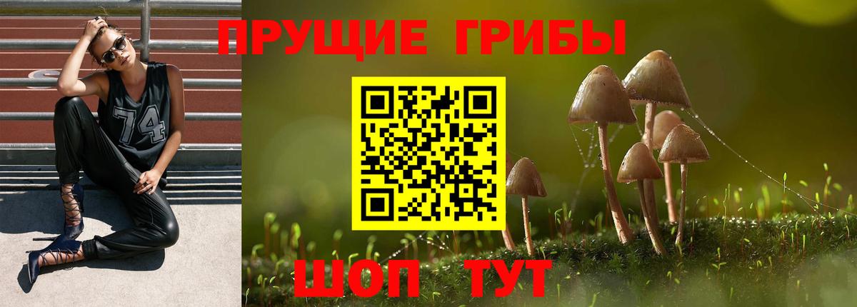 Псилоцибиновые грибы Magic Shrooms  Галлюциногенные грибы мицелий  Вход с VPN  дарнет шоп  Вязьма 
